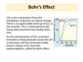 Bohr’s Effect
CO2 is the end product from the
breakdown of glucose to release energy.
There is an appreciable build up of ...