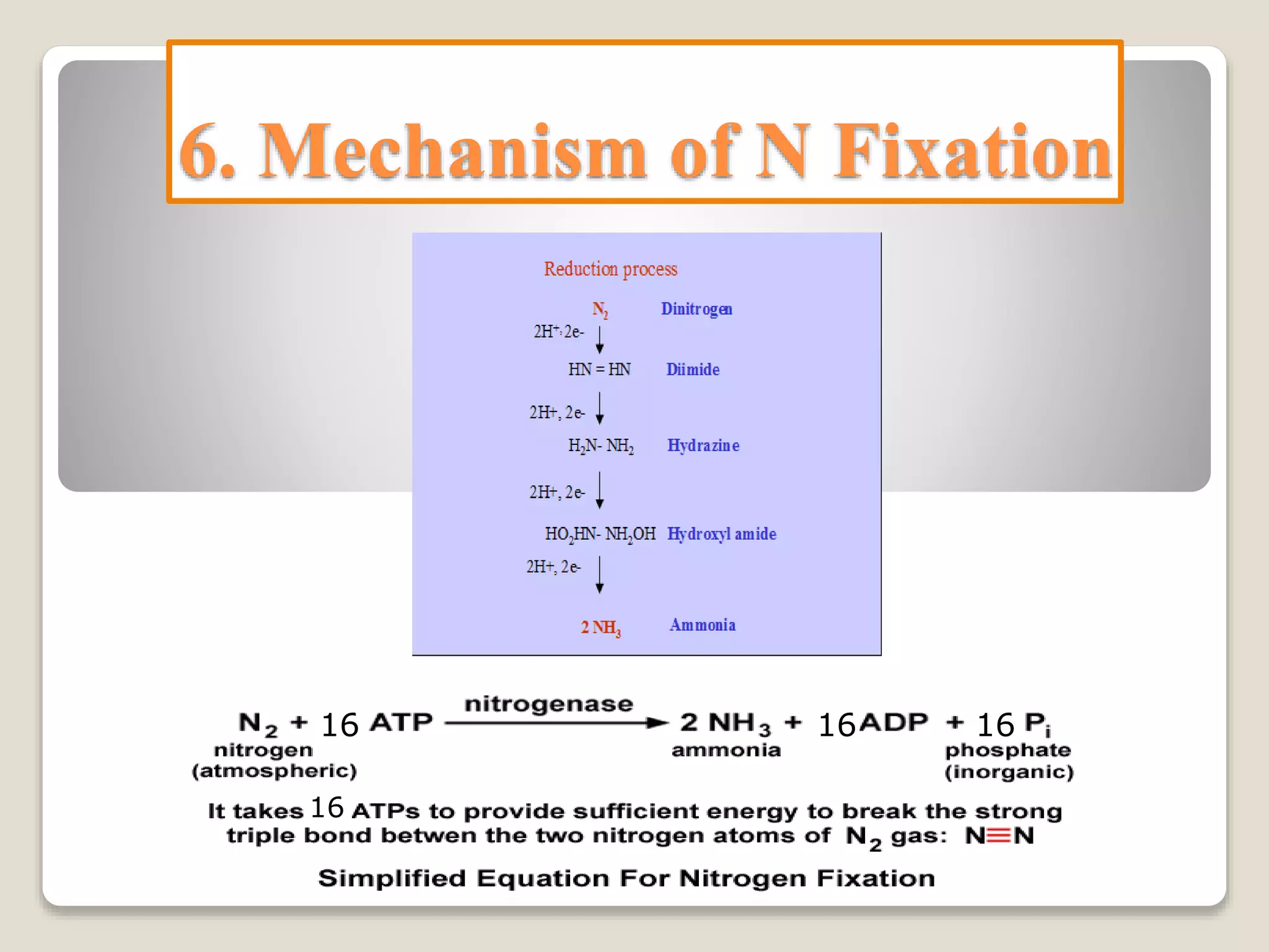 6. Mechanism of N Fixation
16
16 16 16
 