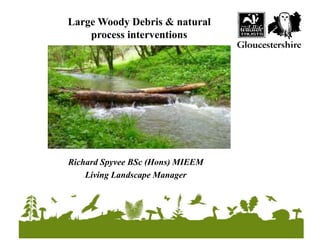 Richard Spyvee BSc (Hons) MIEEM
Living Landscape Manager
Large Woody Debris & natural
process interventions
 