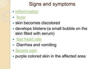 Necrotizing fasciitis Case presentation 