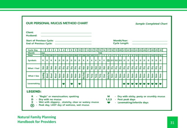 NFP-Handbook.pdf