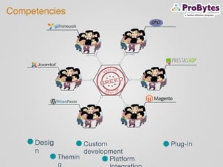 Desig
n
Themin
g
Custom
development
Platform
Plug-in
Competencies
 