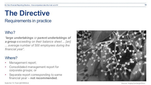 EU Non-Financial Reporting Directive: How companies can ...