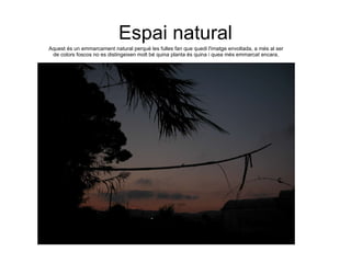 Espai natural Aquest és un emmarcament natural perquè les fulles fan que quedi l'imatge envoltada, a més al ser de colors foscos no es distingeixen molt bé quina planta és quina i quea més emmarcat encara. 