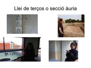 Llei de terços o secció àuria 