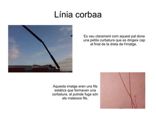 Línia corbaa Es veu clarament com aquest pal dona una petita curbatura que es dirigeix cap al final de la dreta de l'imatge.  Aquesta imatge eren uns fils estàtics que formaven una corbatura, el putnde fuga són els mateixos fils. 