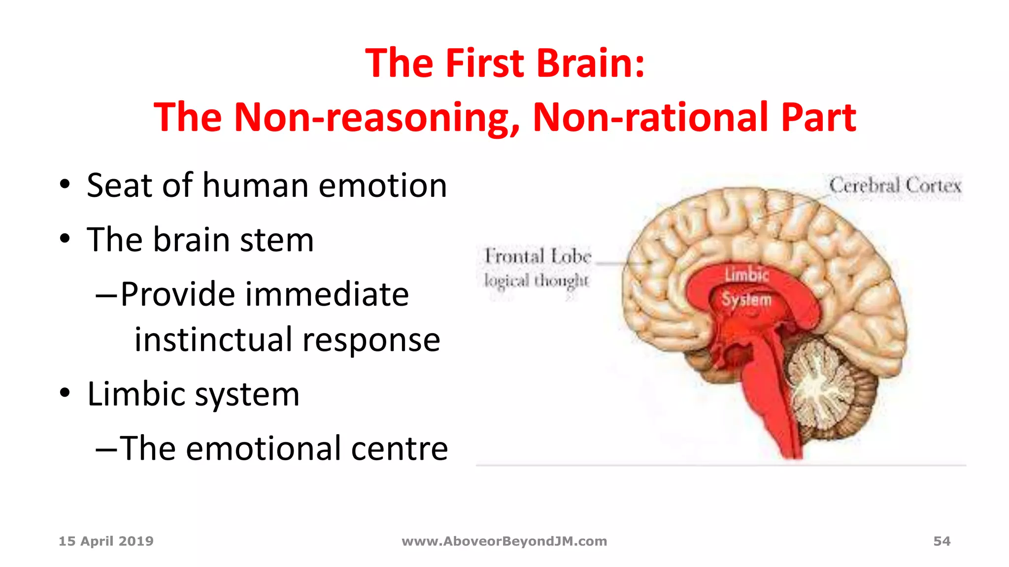 The First Brain:
The Non-reasoning, Non-rational Part
• Seat of human emotion
• The brain stem
–Provide immediate
instinctual response
• Limbic system
–The emotional centre
15 April 2019 www.AboveorBeyondJM.com 54
 