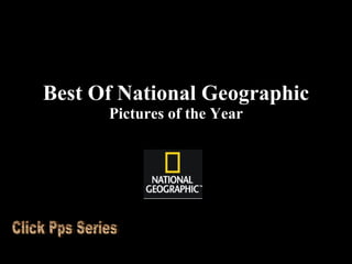 Best Of National Geographic Pictures of the Year Click Pps Series 