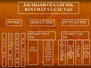 ÂM THANH CỦA LỜI NÓI. BẢN CHẤT VÀ CẤU TẠO ÂM HỌC SINH LÝ HỌC CƠ SỞ XÃ HỘI CAO ĐỘ CƯỜNG ĐỘ TRƯỜNG ĐỘ ÂM SẮC BỘ MÁY PHÁT ÂM DÂY THANH CÁC HỘP CỘNG HƯỞNG PHÍA TRÊN THANH HẦU CÁC KIỂU TẠO ÂM Âm vị được ghi băng chữ cái thống nhất Trọng âm và ngữ điệu là phương thức diên x đạt ý nghĩa   S ố lượng âm vị do cộng đồng ngôn ngữ quy định Âm vị có giá trị khu biệt 