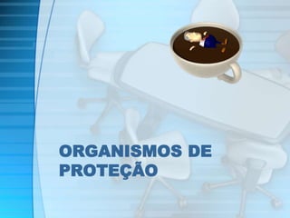 ORGANISMOS DE 
PROTEÇÃO 
 