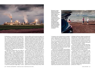 ilha solteira  4140  national geographic • especial água e mudanças do clima
Moradores e turistas
agora são raros nas
prainhas de Ilha Solteira.
Importante fonte de
renda na região, o ciclo
diário de visitantes
caiu de 4 mil para
150 pessoas por dia.
A cana-de-açúcar sofreu
bastante com a seca
na região. A última
safra apresentou
produtividade abaixo
da média e as usinas
termelétricas baseadas
nessa fonte de energia
terão que aumentar
os preços para suprir
os prejuízos.
da hidrelétrica, o município irá arrecadar me-
nos. “As perdas que estamos tendo na arreca-
dação hoje só saberemos de fato daqui a dois
anos. Se a usina parar, seria uma catástrofe para
nós. O município praticamente não teria recei-
ta. Educação, saúde, segurança seriam atingidas
imediatamente”, analisa Bento Sgarbosa, que é
também vice-presidente da Amusuh (Associação
dos Municípios Sedes de Usinas Hidrelétricas).
Ele me conta que no Brasil existem mais de 700
cidades que foram alagadas para que hidrelétri-
cas pudessem existir.
A agricultura também sofre com a falta de
água. Na cana-de-açúcar – quase uma mono-
cultura na região – a perda de produtividade foi
significativa. Não se chegou próximo ao valor
de referência de 80 t/ha (toneladas de cana por
hectare) na última safra. Algumas usinas tra-
balharam com uma produtividade de apenas
50 t/ha. É o que explica Fernando Braz Tangeri-
no Hernandez, professor e pesquisador do De-
partamento de Fitossanidade, Engenharia Rural
e Solos da Unesp (Universidade Estadual Paulis-
ta), enquanto, na grande tela do monitor, corre
o cursor do mouse pelo Google Maps. “A usina
de Santa Adélia, uma das maiores da região, é de
cogeração, ela produz ao mesmo tempo álcool e
energia. Ela queima bagaço e gera energia. Se ela
dependesse somente da venda de álcool, certa-
mente teria demitido funcionários”, diz, enquan-
to analisa os dados nos monitores que estão na
parede do laboratório. Quanto mais falamos do
tema, mais ele se empolga. “As usinas que não
possuem cogeração estão em uma situação críti-
ca. Temos 453 usinas de açúcar e álcool no país.
Dessas, 83 estão fechadas ou em recuperação.”
Como se não fosse o bastante, ele levanta seu
corpo de quase 2 metros para enfatizar que “o
fato concreto é que os extremos estão cada vez
mais frequentes. O seco está cada vez mais seco
e as chuvas estão cada vez mais intensas e lo-
calizadas”. Ele fala com conhecimento de cau-
sa, com base no relatório do Painel Brasileiro
de Mudanças Climáticas (PBMC) de 2013. Esse
estudo, realizado por 350 cientistas, prevê um
cenário alarmante se os níveis de emissões de
gases causadores de efeito estufa permanecerem
altos. A agricultura e o setor de energia do Brasil
poderão ser fortemente impactados, sob risco de
queda brusca do Produto Interno Bruto (PIB)
e constantes crises no abastecimento energético
e até de segurança alimentar. Segundo o docu-
mento, a temperatura no Brasil pode aumentar
de 3 ºC a 6 ºC até 2100. O país sofreria ainda
mais com uma possível escassez de chuvas, como
acontece agora. “Temos que desenvolver a resili-
ência e aprender a conviver com isso. Recompor
as matas ciliares, plantio direto, conservação do
solo, interceptação da água das chuvas, proteger
nossas nascentes. Precisamos de árvores!”, excla-
ma o professor e bate na mesa.
Onde há riscos, há também oportunidades.
A expressão de tranquilidade de Antonio Ramon
do Amaral Neto é de quem soube se preparar
para a crise. Sua empresa produz hoje 10 tonela-
das por mês de peixe e as obras estão aceleradas
para que até o final de 2015 esse valor chegue
a 25 toneladas. “Tomamos decisões estratégicas
antes da seca”, fala ao se recostar em sua cadeira
de couro e buscar o controle do ar-condicionado.
“Tive colegas empresários que perderam 70% da
produção. Por sorte eu havia transferido minhas
instalações para um local novo, com maior pro-
fundidade.” Ele é sócio-diretor da Brazilian Fish,
empresa que atua desde o cultivo de peixes até a
embalagem de filés que chegam às prateleiras dos
supermercados. “Há uma forte demanda e pou-
ca oferta no mercado de tilápias.” Com a seca,
os preços dispararam. Somente entre outubro e
novembro houve dois aumentos de preço. “Em
breve ficará tão caro que o brasileiro não poderá
consumir filé de tilápia”, completa.
Sorte que não agraciou o produtor Fabio Bran-
dão, da Piscicultura Guanabara. Ele perdeu 60%
da sua capacidade de produção e os sócios-in-
vestidores cancelaram 450 mil reais que estavam
previstos para serem investidos em 2014.
Percebo, afinal, essa é a / Pasárgada de Ma-
nuel Bandeira / oculta em oito milhões / de metros
cúbicos de água / Eis aí meus caros amigos: / a
vocês uma boa sorte / e muito progresso e ale-
gria. Carlos Drummond de Andrade escreveu
em 1973 o poema Os Submersos em homenagem
ao município de Rubineia, 80 quilômetros mais
ao norte de Ilha Solteira. Alagada pelas águas
durante a construção da hidrelétrica, a cidade
levava em suas ruas nomes de famosos poetas
brasileiros. Menos poético, Brandão me respon-
de quando pergunto quais as expectativas para o
próximo ano. “Medo.”  j
 