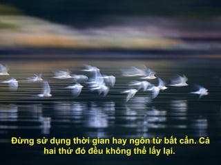 Đừng sử dụng thời gian hay ngôn từ bất cẩn. CảĐừng sử dụng thời gian hay ngôn từ bất cẩn. Cả
hai thứ đó đều không thể lấy lại.hai thứ đó đều không thể lấy lại.
 