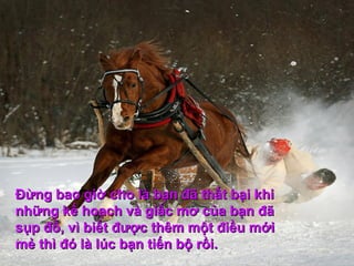 Đừng bao giờ cho là bạn đã thất bại khiĐừng bao giờ cho là bạn đã thất bại khi
những kế hoạch và giấc mơ của bạn đãnhững kế hoạch và giấc mơ của bạn đã
sụp đổ, vì biết được thêm một điều mớisụp đổ, vì biết được thêm một điều mới
mẻ thì đó là lúc bạn tiến bộ rồi.mẻ thì đó là lúc bạn tiến bộ rồi.
 