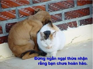 Đừng ngần ngại thừa nhậnĐừng ngần ngại thừa nhận
rằng bạn chưa hoàn hảo.rằng bạn chưa hoàn hảo.
 
