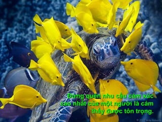 Đừng quên nhu cầu cảm xúcĐừng quên nhu cầu cảm xúc
cao nhất của một người là cảmcao nhất của một người là cảm
thấy được tôn trọng.thấy được tôn trọng.
 