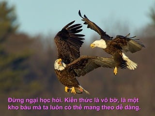 Đừng ngại học hỏi. Kiến thức là vô bờ, là mộtĐừng ngại học hỏi. Kiến thức là vô bờ, là một
kho báu mà ta luôn có thể mang theo dễ dàng.kho báu mà ta luôn có thể mang theo dễ dàng.
 