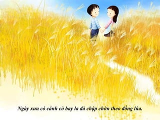 Ngày xưa có cánh cò bay la đà chập chờn theo đồng lúa. 