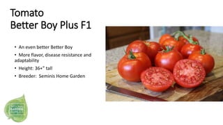 Tomato
Better Boy Plus F1
• An even better Better Boy
• More flavor, disease resistance and
adaptability
• Height: 36+” ta...