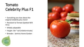 Tomato
Celebrity Plus F1
• Everything you love about the
original Celebrity plus more!
• Resistant to Tomato Spotted Wilt
...