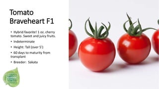 Tomato
Braveheart F1
• Hybrid favorite! 1 oz. cherry
tomato. Sweet and juicy fruits.
• Indeterminate
• Height: Tall (over ...