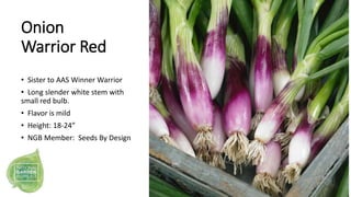 Onion
Warrior Red
• Sister to AAS Winner Warrior
• Long slender white stem with
small red bulb.
• Flavor is mild
• Height:...