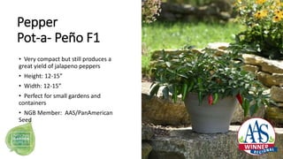 Pepper
Pot-a- Peño F1
• Very compact but still produces a
great yield of jalapeno peppers
• Height: 12-15”
• Width: 12-15”...