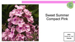Sweet Summer
Compact Pink
 