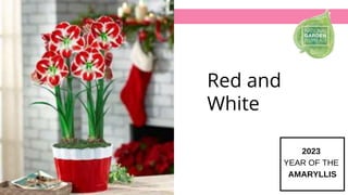 Red and
White
 