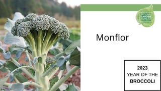 Monflor
2023
YEAR OF THE
BROCCOLI
 