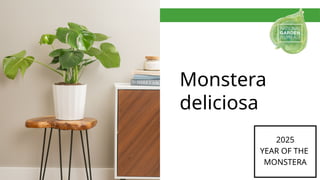 Powerpoint Monstera NGB Year of The Monstera PPT 2025.pptxx | PPTX