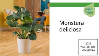 Powerpoint Monstera NGB Year of The Monstera PPT 2025.pptxx | PPTX