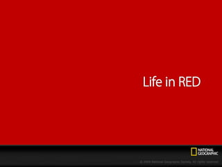 Life in Red - NGC