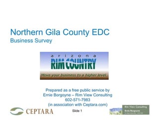 Northern Gila County EDC
Business Survey




            Prepared as a free public service by
           Ernie Borgoyne – Rim View Consulting
                       602-571-7983
             (in association with Ceptara.com)     Rim View Consulting
                          Slide 1                  Ernie Borgoyne
                                                   Six Sigma Black Belt - ASQ CQE
 