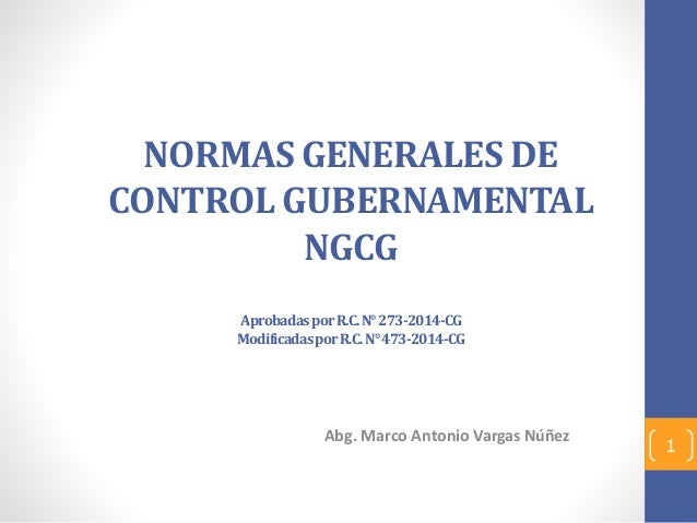 Normas Generales De Control Gubernamental Ngcg Rc N 273 Normas Generales De Control Gubernamental Ngcg Rc N 273