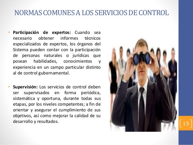 Normas Generales De Control Gubernamental Ngcg Rc N 273 Normas Generales De Control Gubernamental Ngcg Rc N 273