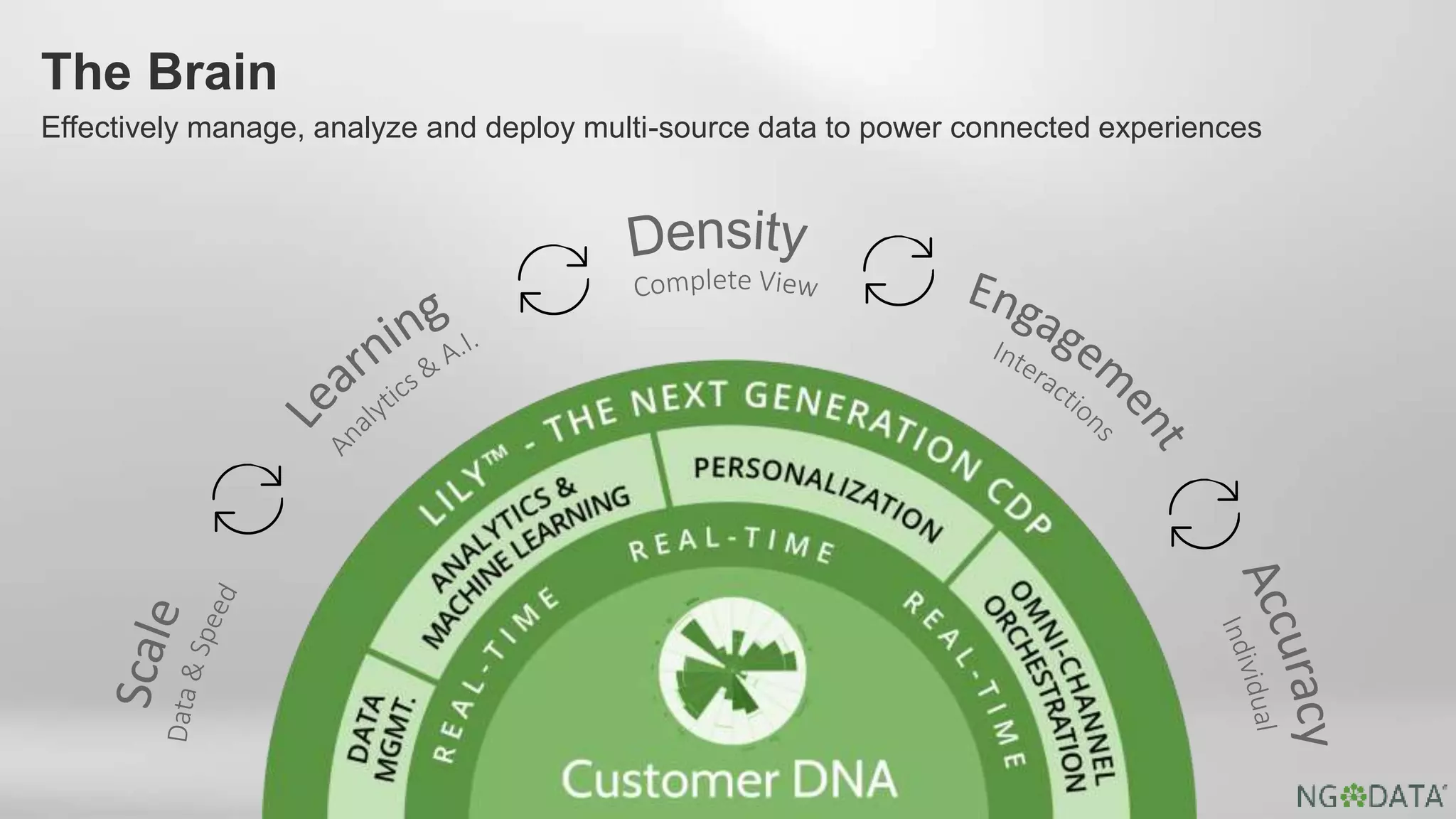 Effectively manage, analyze and deploy multi-source data to power connected experiences
The Brain
 