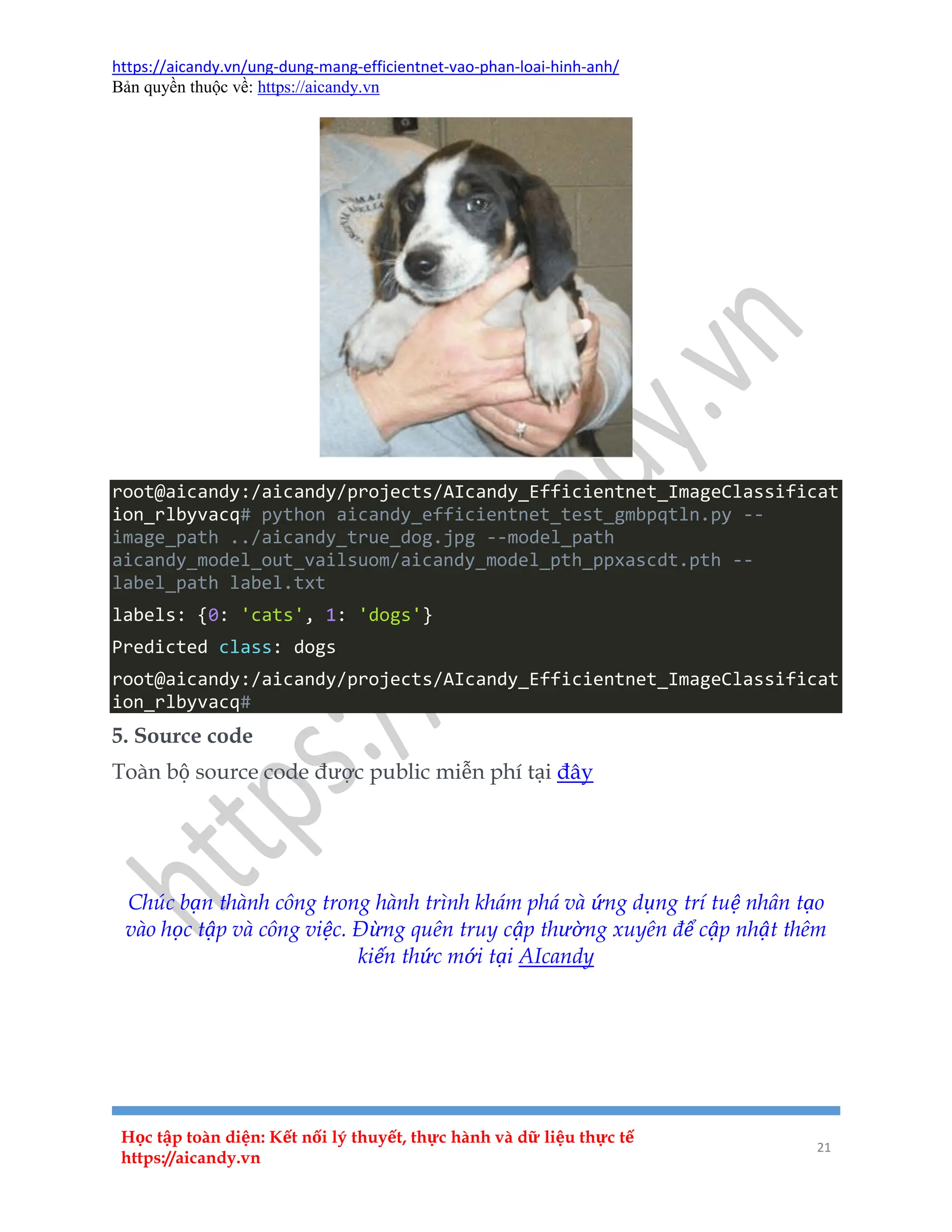 https://aicandy.vn/ung-dung-mang-efficientnet-vao-phan-loai-hinh-anh/
Bản quyền thuộc về: https://aicandy.vn
Học tập toàn diện: Kết nối lý thuyết, thực hành và dữ liệu thực tế
https://aicandy.vn
21
root@aicandy:/aicandy/projects/AIcandy_Efficientnet_ImageClassificat
ion_rlbyvacq# python aicandy_efficientnet_test_gmbpqtln.py --
image_path ../aicandy_true_dog.jpg --model_path
aicandy_model_out_vailsuom/aicandy_model_pth_ppxascdt.pth --
label_path label.txt
labels: {0: 'cats', 1: 'dogs'}
Predicted class: dogs
root@aicandy:/aicandy/projects/AIcandy_Efficientnet_ImageClassificat
ion_rlbyvacq#
5. Source code
Toàn bộ source code được public miễn phí tại đây
Bài trước
Danh mục
Bài sau
Chúc bạn thành công trong hành trình khám phá và ứng dụng trí tuệ nhân tạo
vào học tập và công việc. Đừng quên truy cập thường xuyên để cập nhật thêm
kiến thức mới tại AIcandy
 