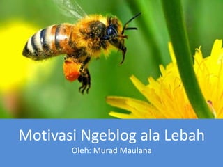 Motivasi Ngeblog ala Lebah
Oleh: Murad Maulana
 