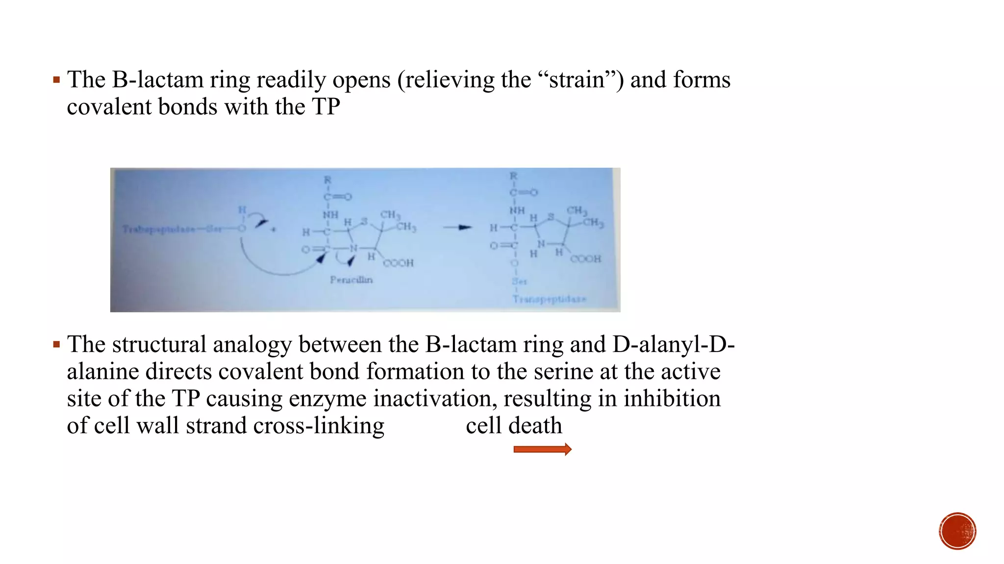 Drug Receptor Binding Forces | PPTX