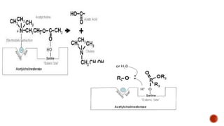 Drug Receptor Binding Forces | PPTX
