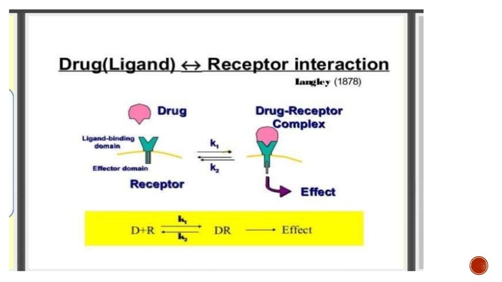 Drug Receptor Binding Forces