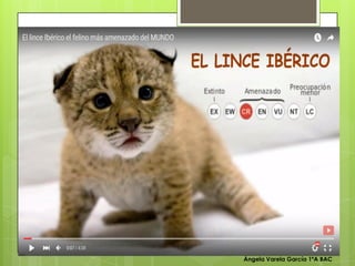 Ángela Varela García 1ºA BAC
 