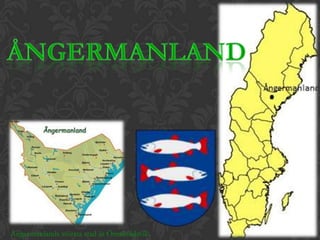 Ångermanland Ångermanlands största stad är Örnsköldsvik.  