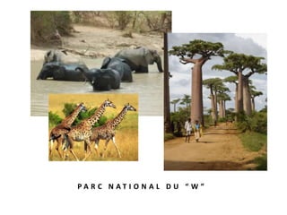 PA R C N AT I O N A L D U “ W ”
 