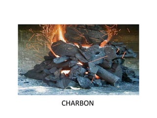 CHARBON
 