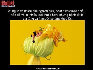 Chúng ta có nhiều nhà nghiên cứu, phát hiện được nhiều vấn đề và có nhiều loại thuốc hơn, nhưng bệnh tật lại gia tăng và   ít người có sức khỏe tốt. www.honviet.com.vn 