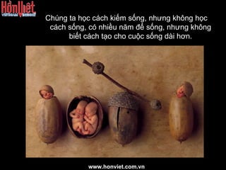 Chúng ta học cách kiếm sống, nhưng không học cách sống, có nhiều năm để sống, nhưng không biết cách tạo cho cuộc sống dài hơn. www.honviet.com.vn 