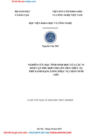 Tải tài liệu tại sividoc.com
Viết đề tài giá sinh viên – ZALO:0973.287.149-TEAMLUANVAN.COM
BỘ GIÁO DỤC VIỆN HÀN LÂM KHOA HỌC
VÀ ĐÀO TẠO VÀ CÔNG NGHỆ VIỆT NAM
HỌC VIỆN KHOA HỌC VÀ CÔNG NGHỆ
-------------
Nguyễn Văn Thế
NGHIÊN CỨU ĐẶC TÍNH SINH HỌC CỦA CÁC VI
SINH VẬT PHÙ HỢP CHO LÊN MEN THỨC ĂN
THÔ XANH DẠNG LỎNG PHỤC VỤ CHĂN NUÔI
LỢN
LUẬN VĂN THẠC SĨ: SINH HỌC THỰC NGHIỆM
Hà Nội – tháng 10 năm 2019
 