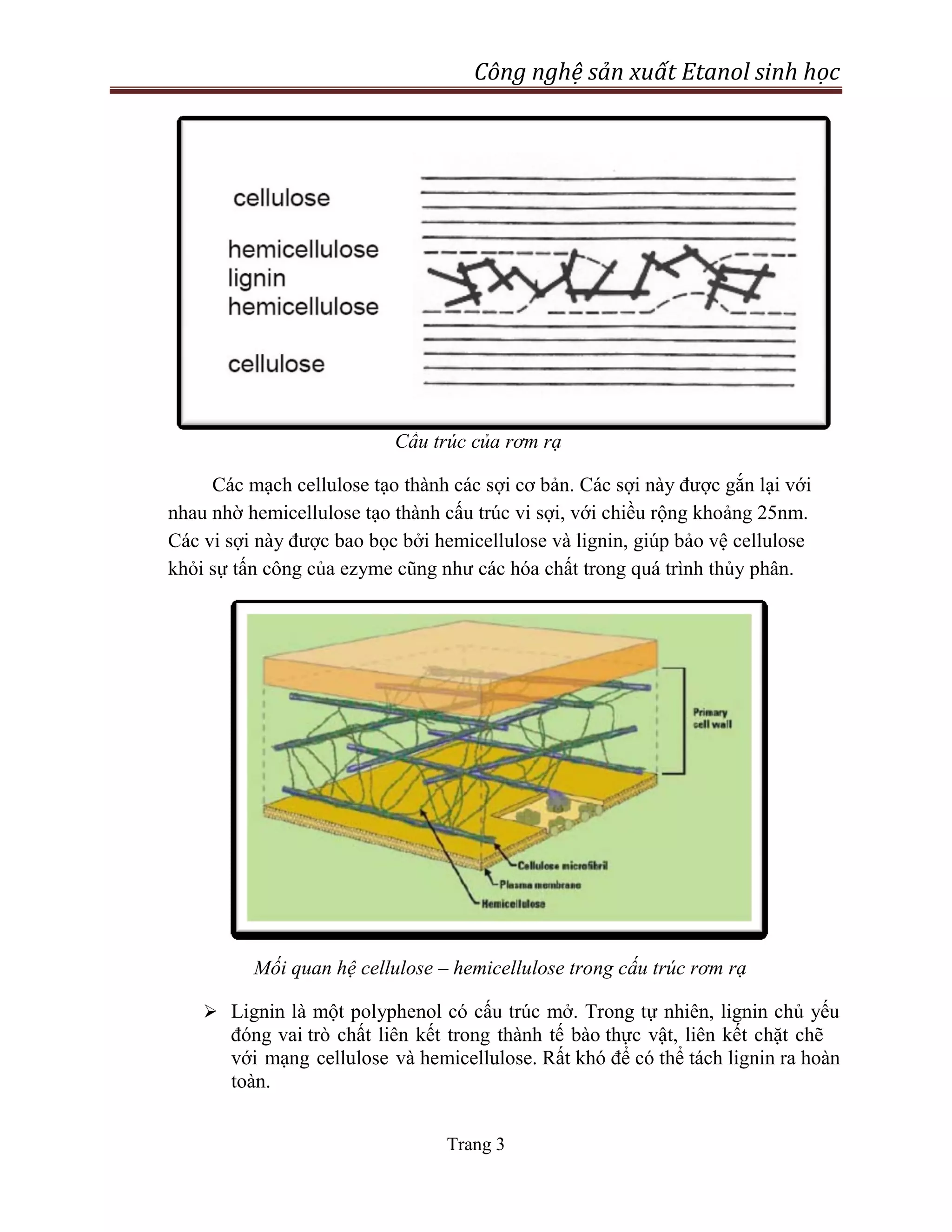 Nghiên cứu sản xuất ethanol tu rom ra | PDF