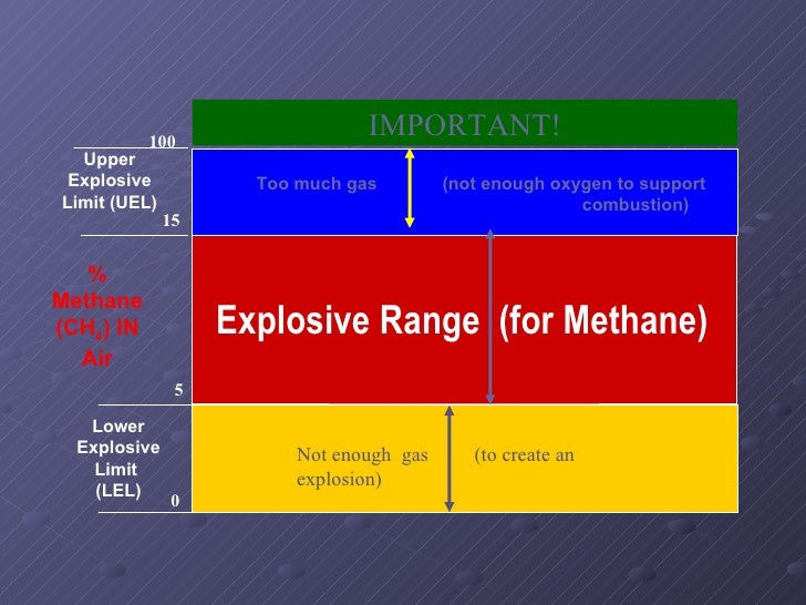 NGIAuthorized Gas Testing